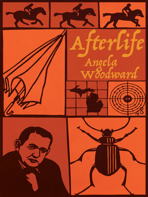 cover image of Afterlife